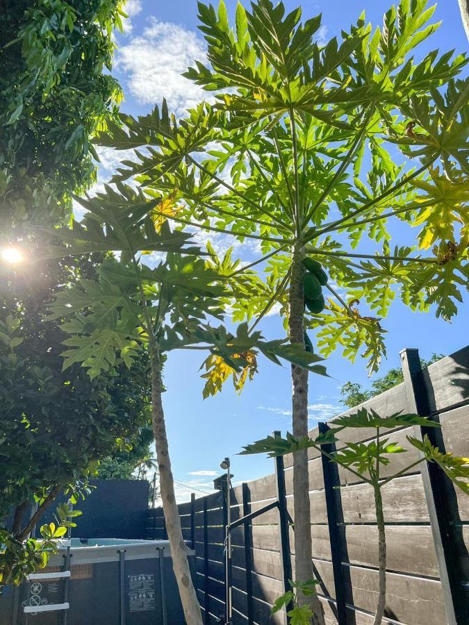 L'Eden - Villa Cosy A Sainte-Clotilde エクステリア 写真