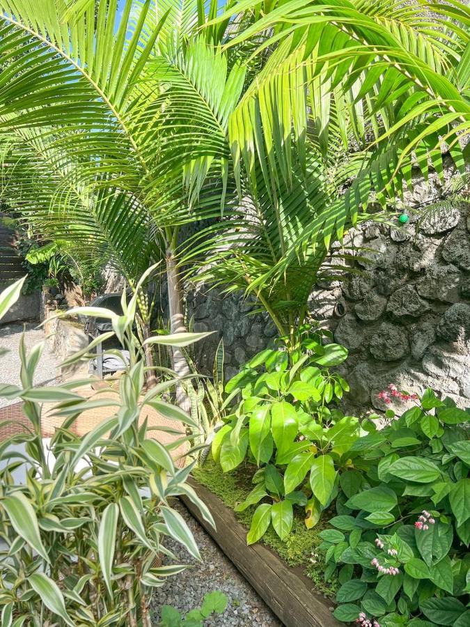 L'Eden - Villa Cosy A Sainte-Clotilde エクステリア 写真